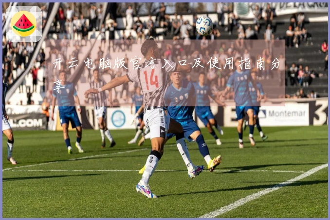 开云电脑版官方入口及使用指南分享