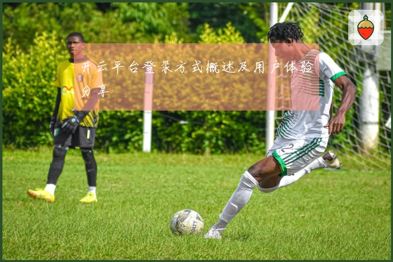 开云平台登录方式概述及用户体验分享