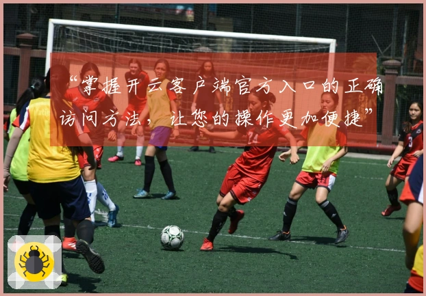 “掌握开云客户端官方入口的正确访问方法，让您的操作更加便捷”